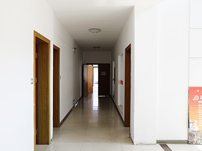 集化網(wǎng)公司辦公環(huán)境