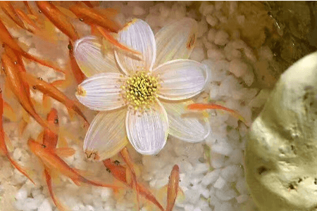 樹脂畫，滲透劑