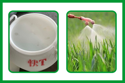 快速滲透劑在農(nóng)業(yè)的應(yīng)用