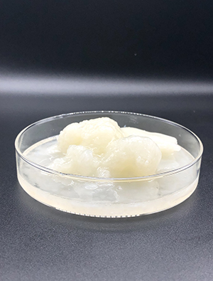 防老劑苯乙烯苯酚SP